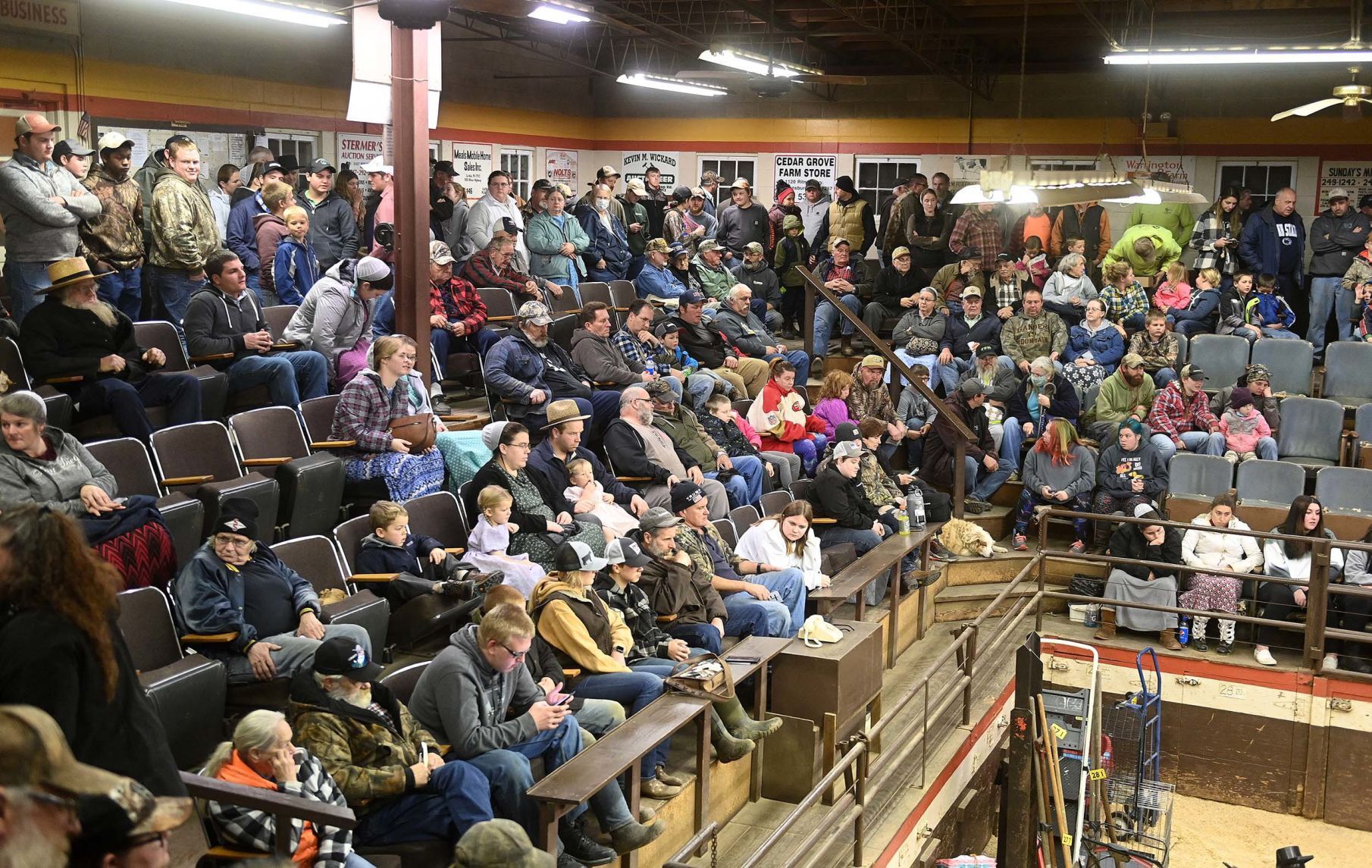 Carlisle Livestock Auction 23.JPG
